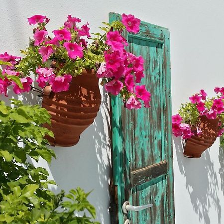 Villa Anna Maria Alikí 외부 사진