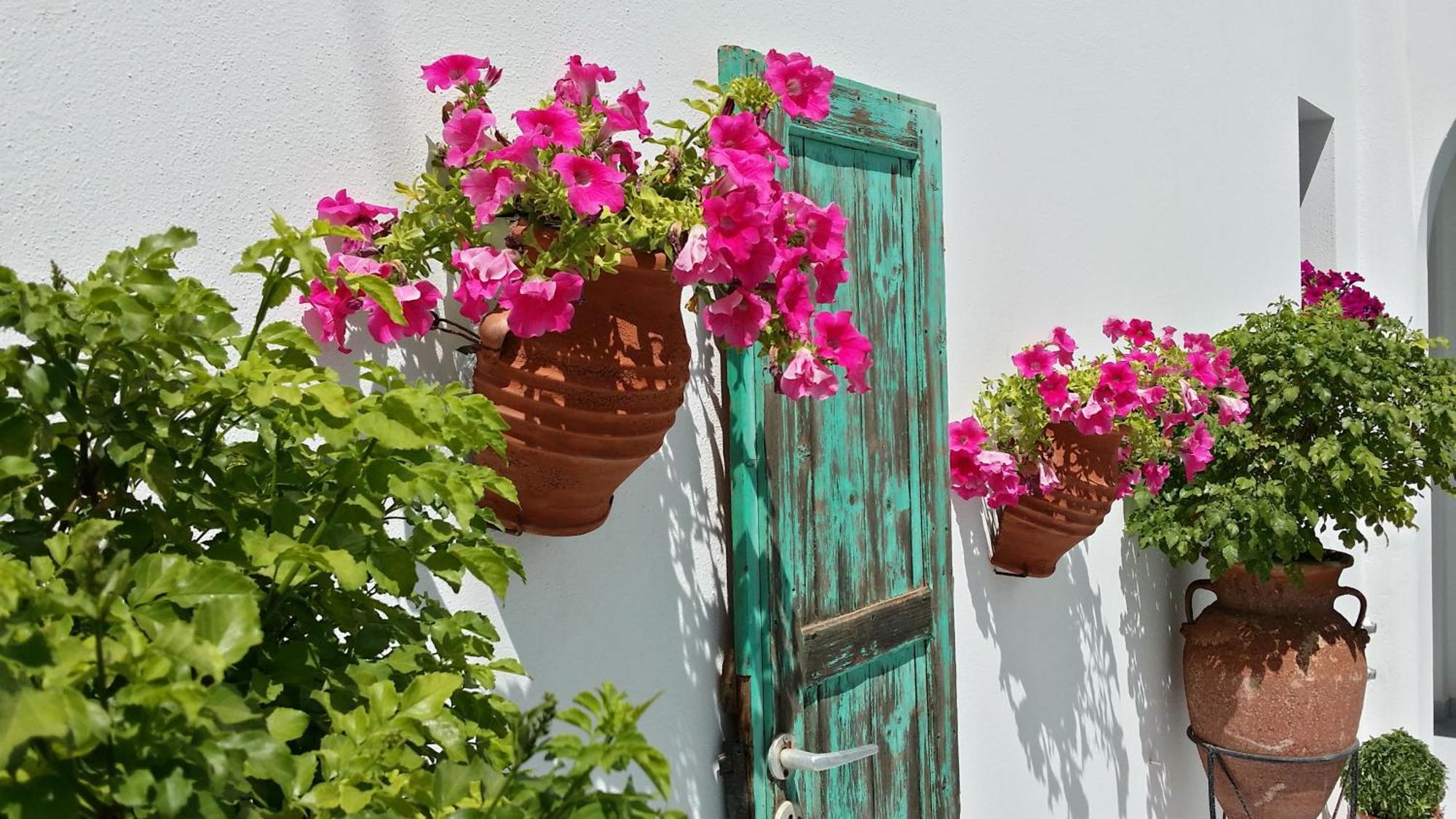 Villa Anna Maria Alikí 외부 사진